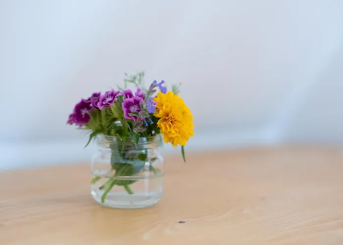 Stan Relaksu - W Zakopanem 3*