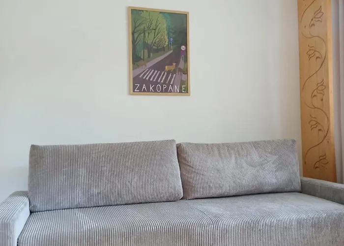 招待所 Stan Relaksu - W Zakopanem 3*